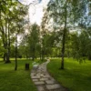 Samovoden sprehod: Parkplac - Image 2